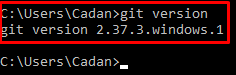 Alt text