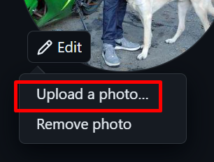 Alt text
